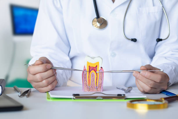Best Emergency Dental Care for Broken or Chipped Teeth in Village Of Waukesha, WI